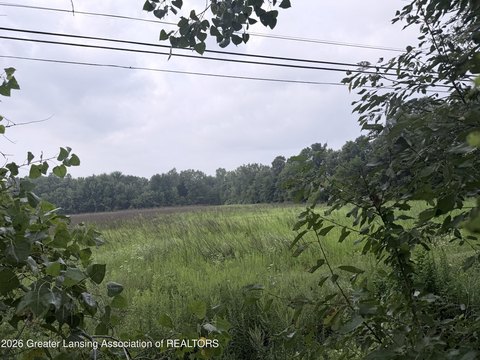 Land, Dimondale, MI