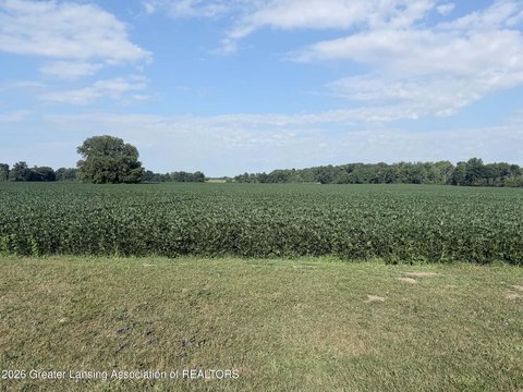 LAND - Dimondale, MI