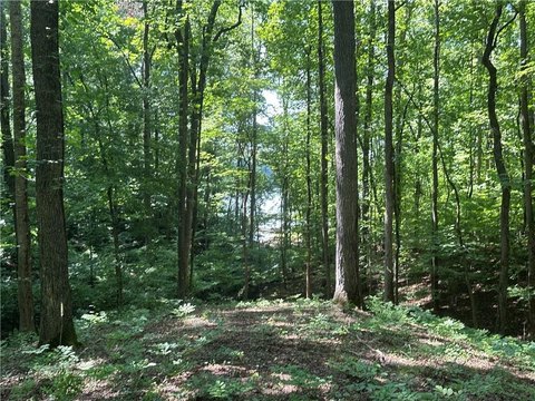 LAND - Gainesville, GA