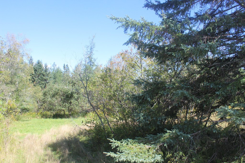 Picture 5