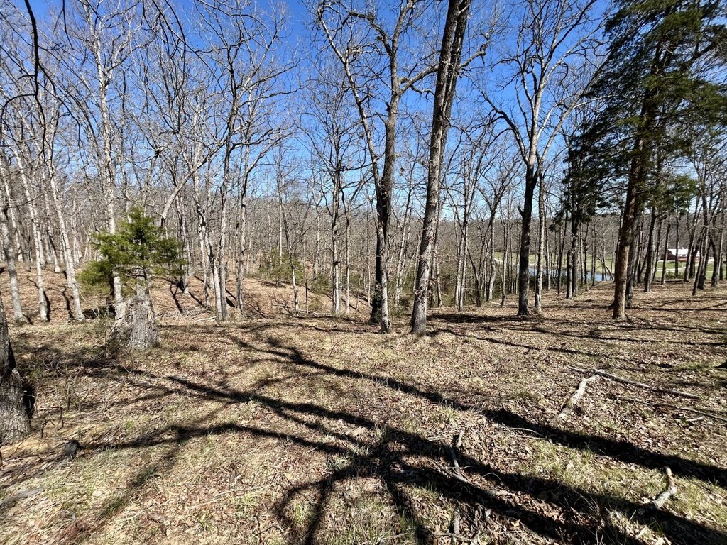Picture 14