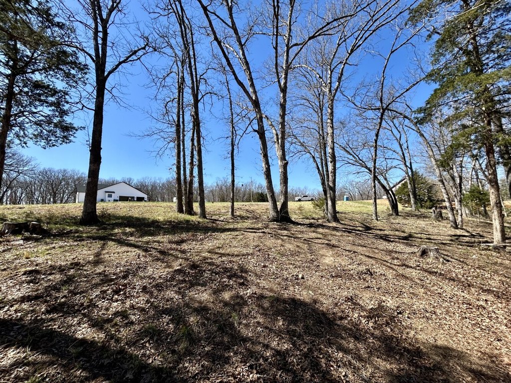 Picture 16