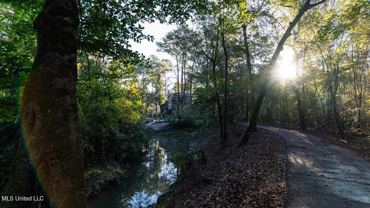 233 Acres on Tickfaw River