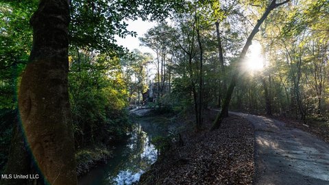 233 Acres on Tickfaw River