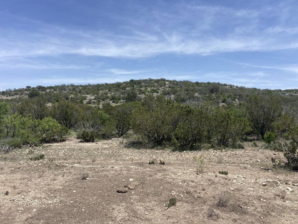 Picture 20