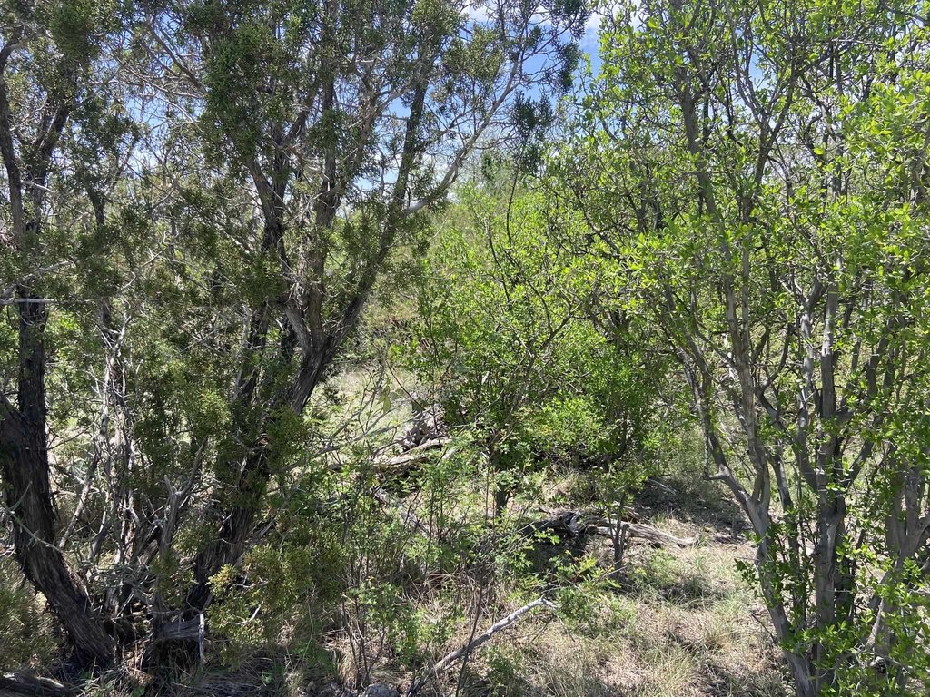 Picture 37