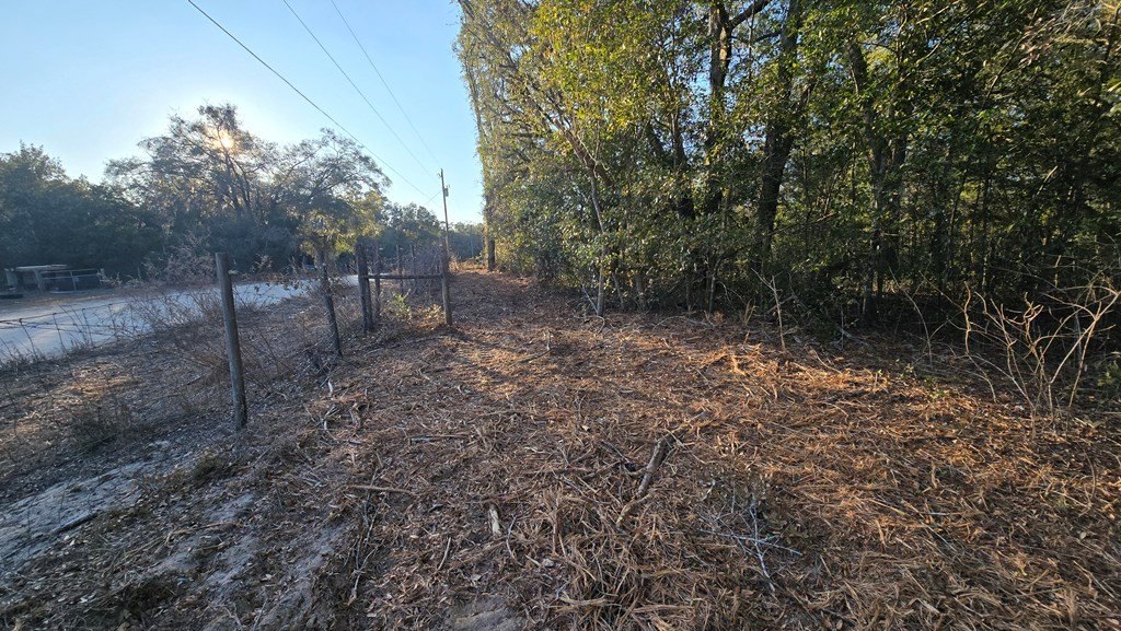 Picture 5