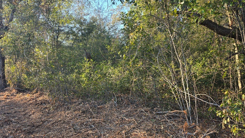 Picture 9