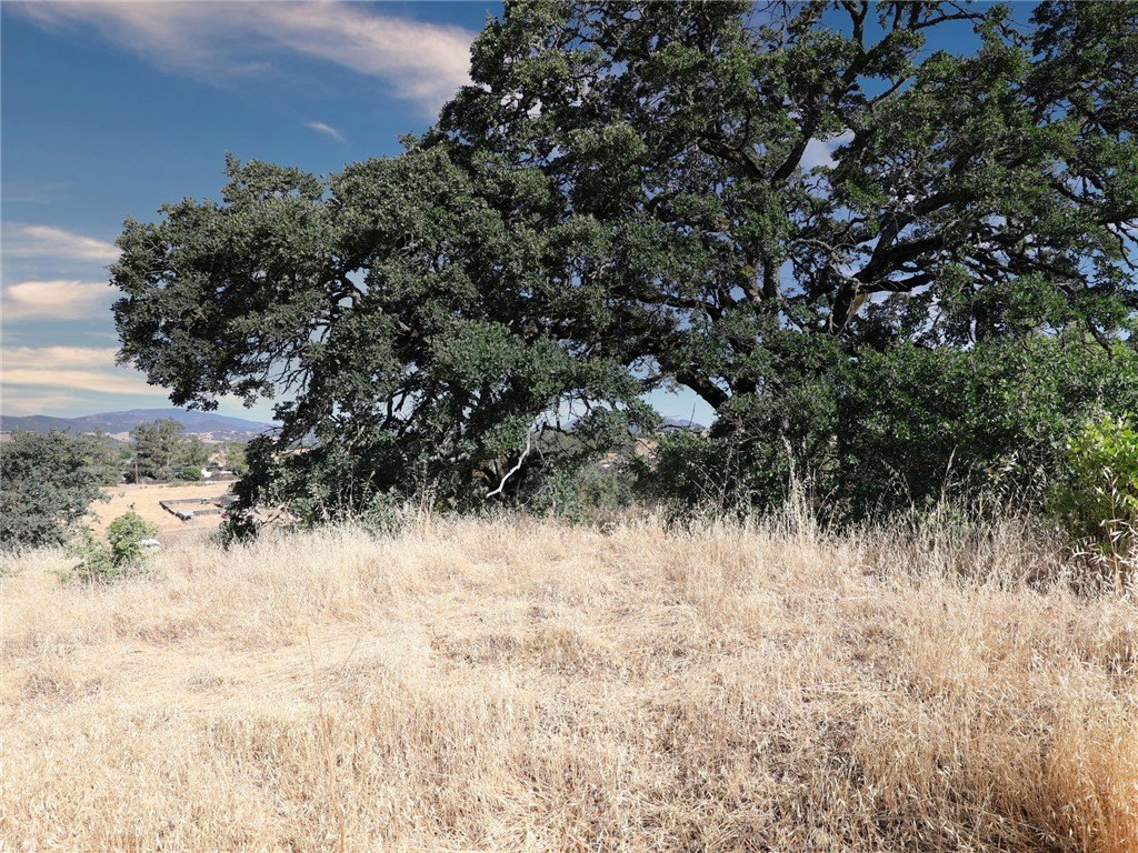 Residential Lot in Nice, CA
