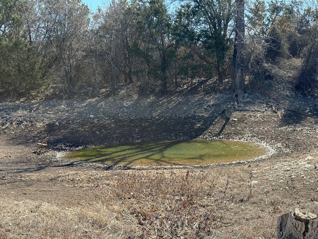 Picture 3