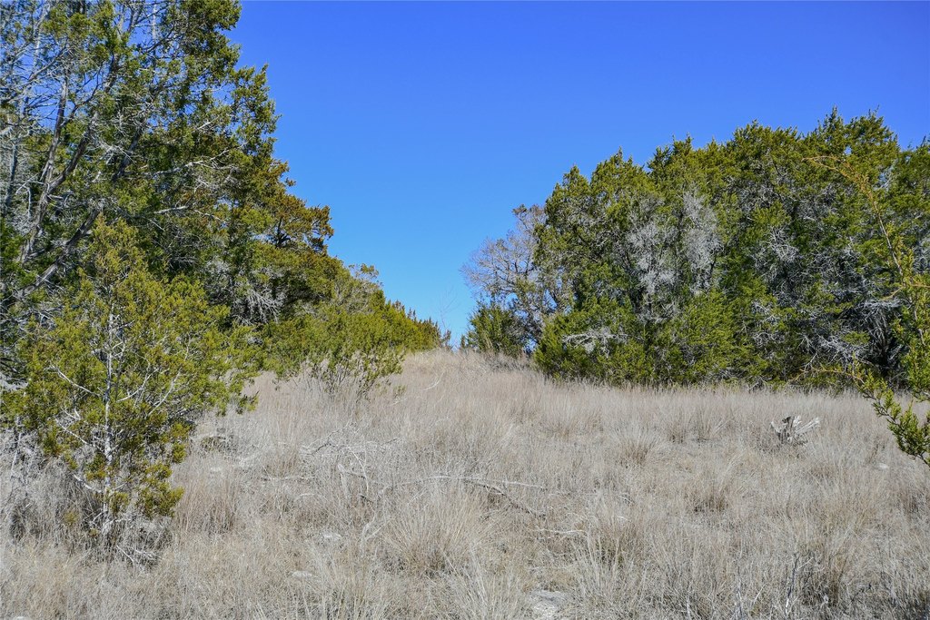 Picture 27