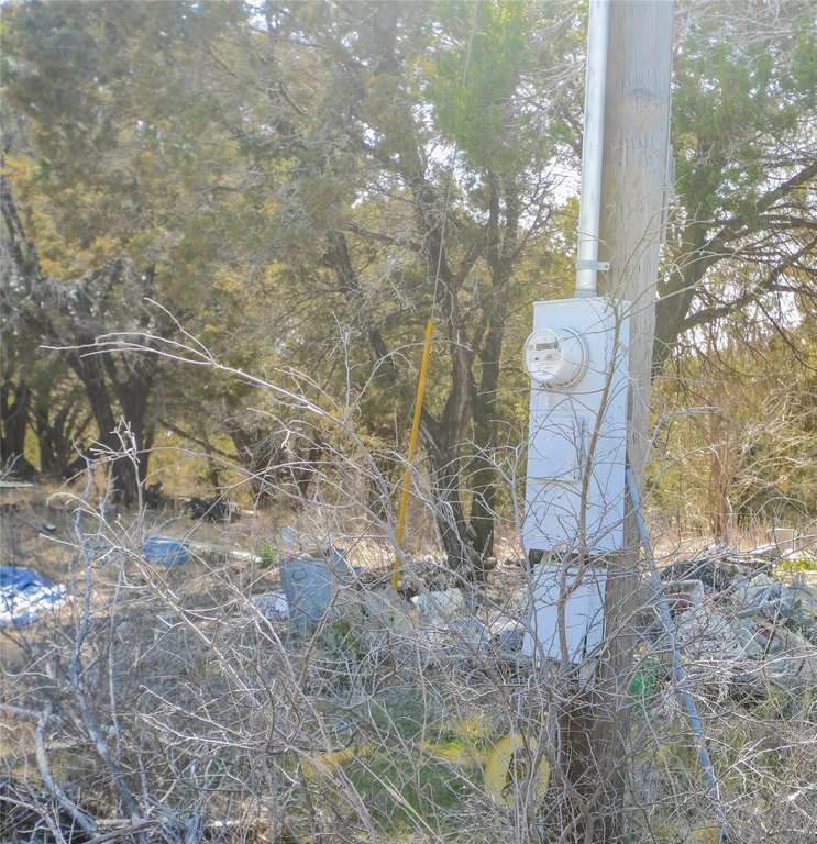 Picture 5