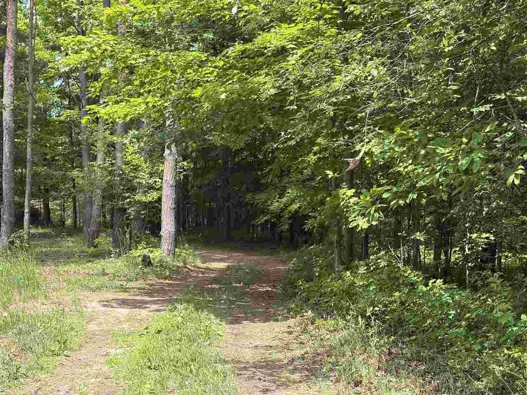 Picture 4