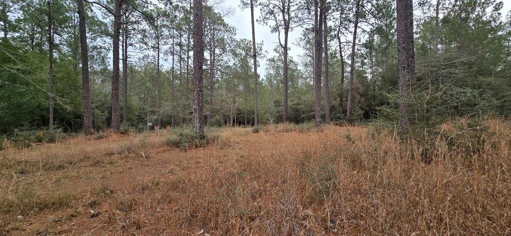 Rayburn Country Resort Land