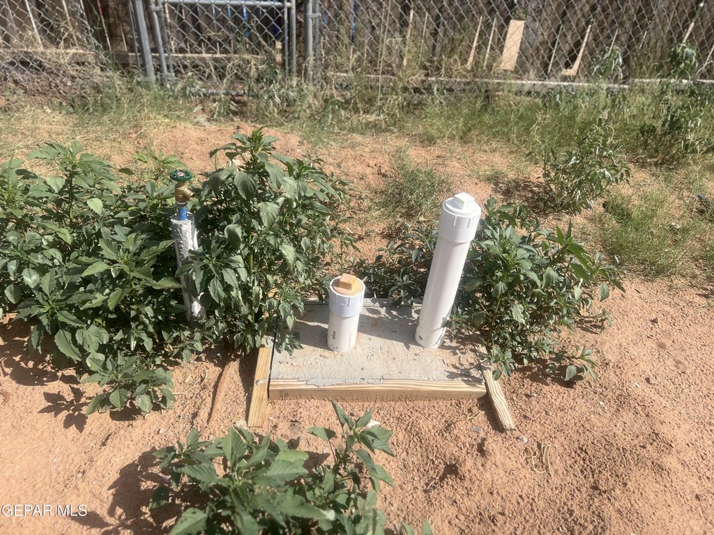 Picture 5