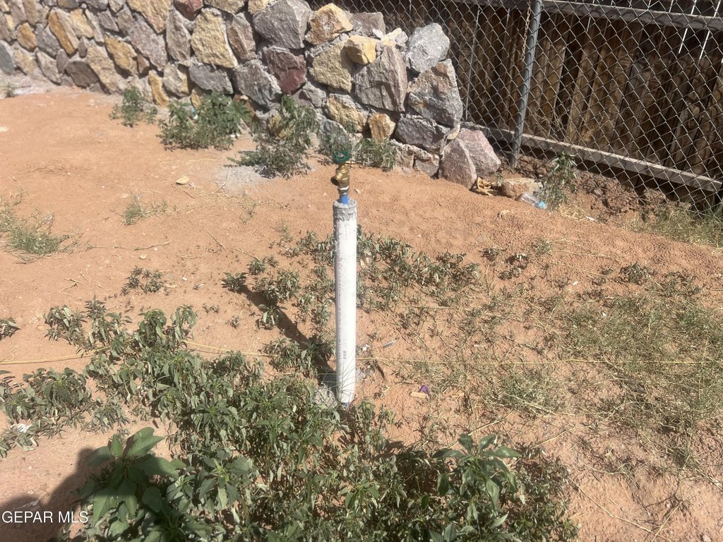 Picture 6