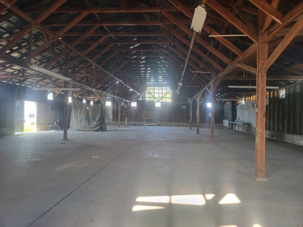 Picture 5