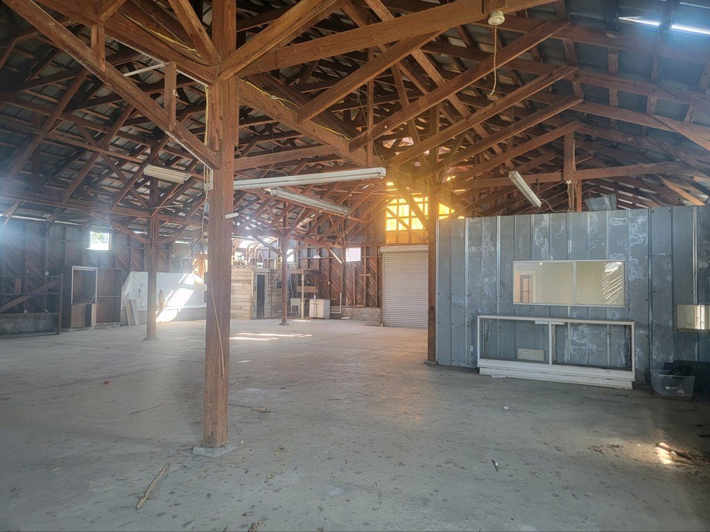 Picture 3