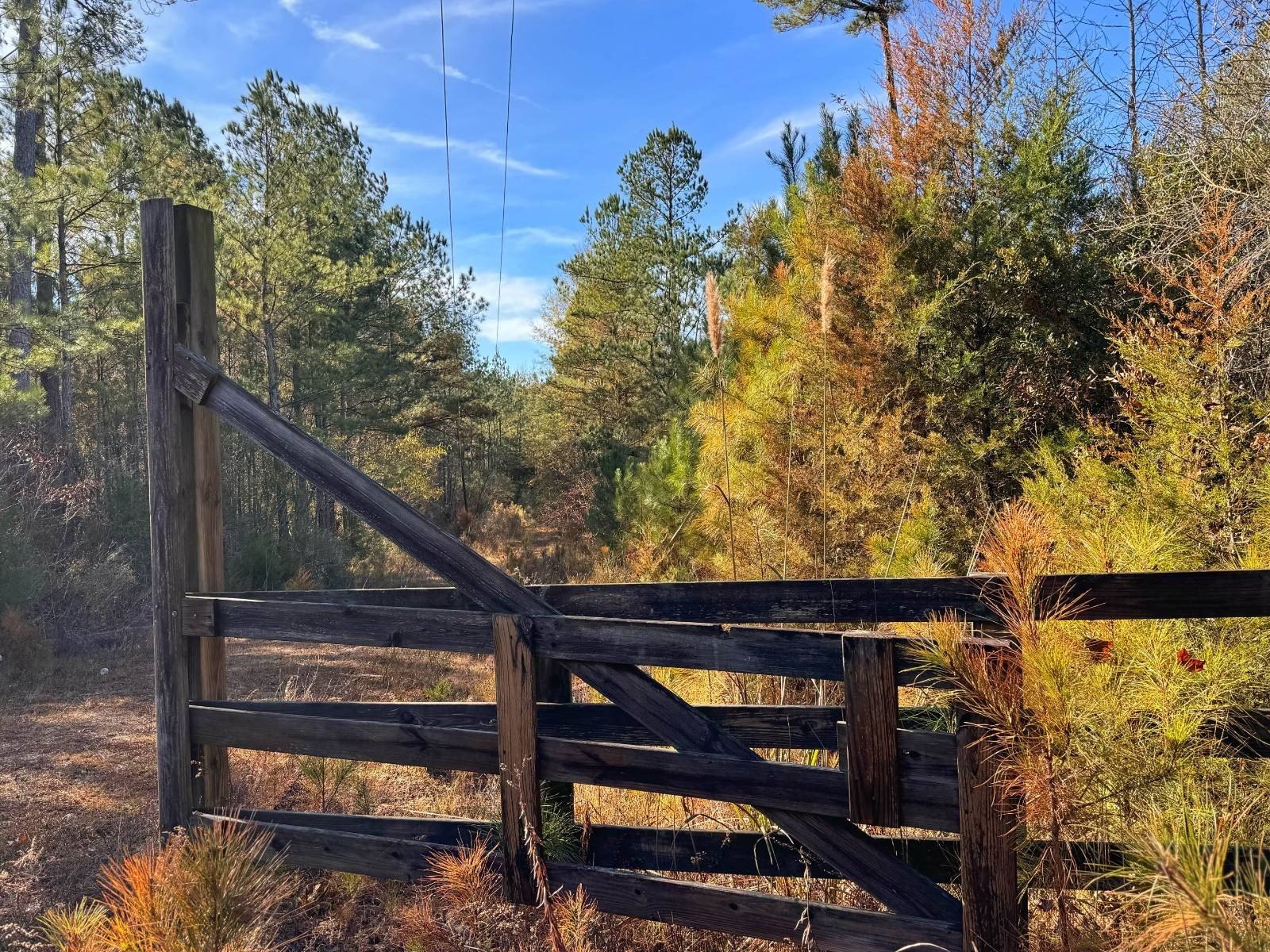 Prime Land in Dabbs Trace