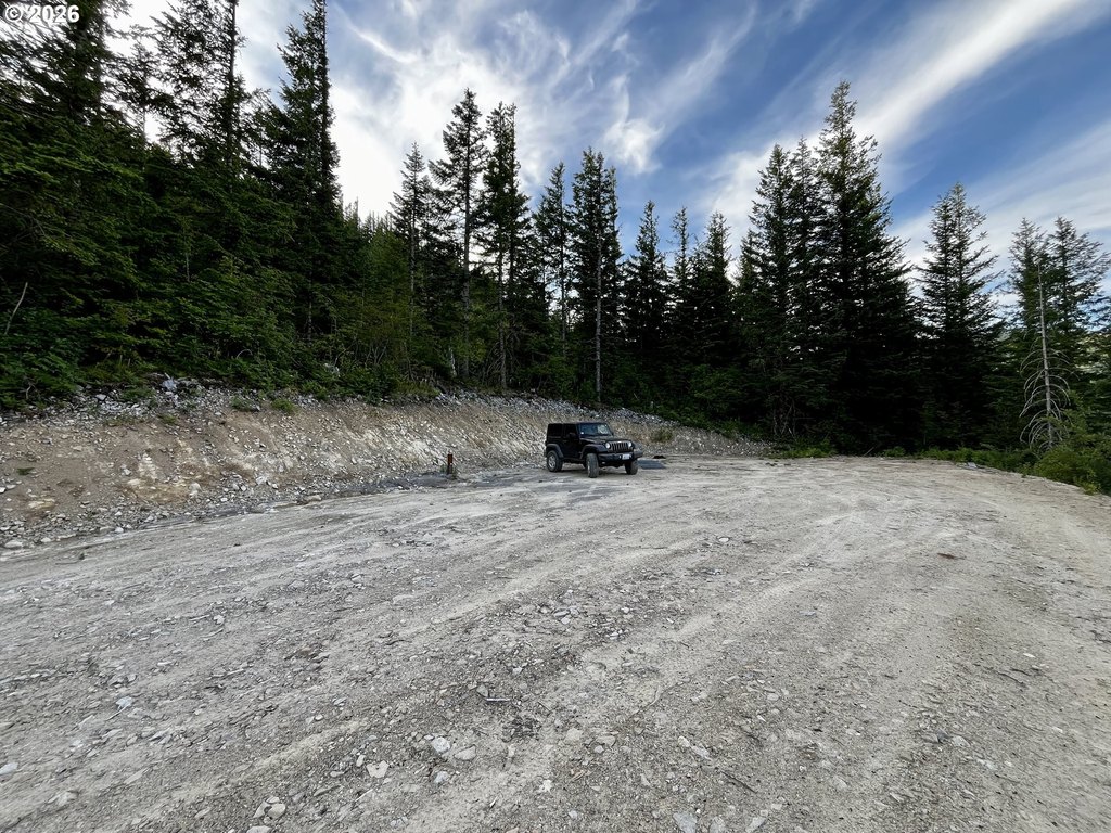 Picture 4