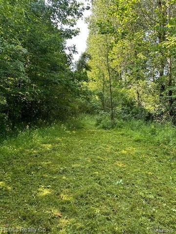 Secluded 17+ Acre Hunting Land