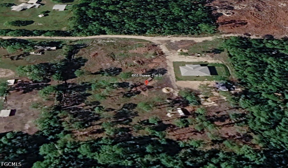 Picture 3