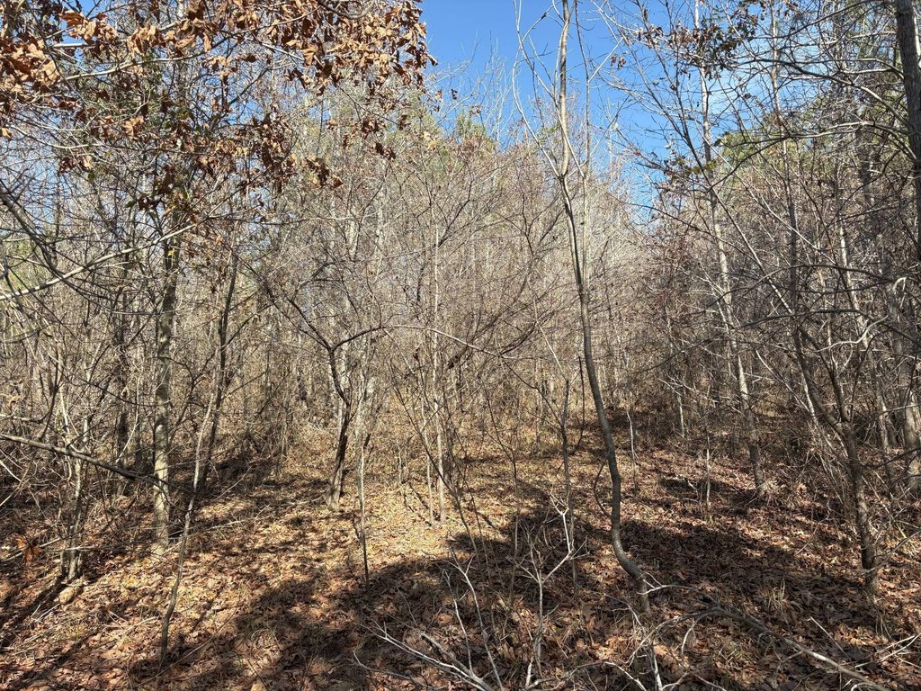 Picture 29