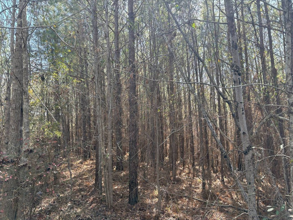 Picture 36