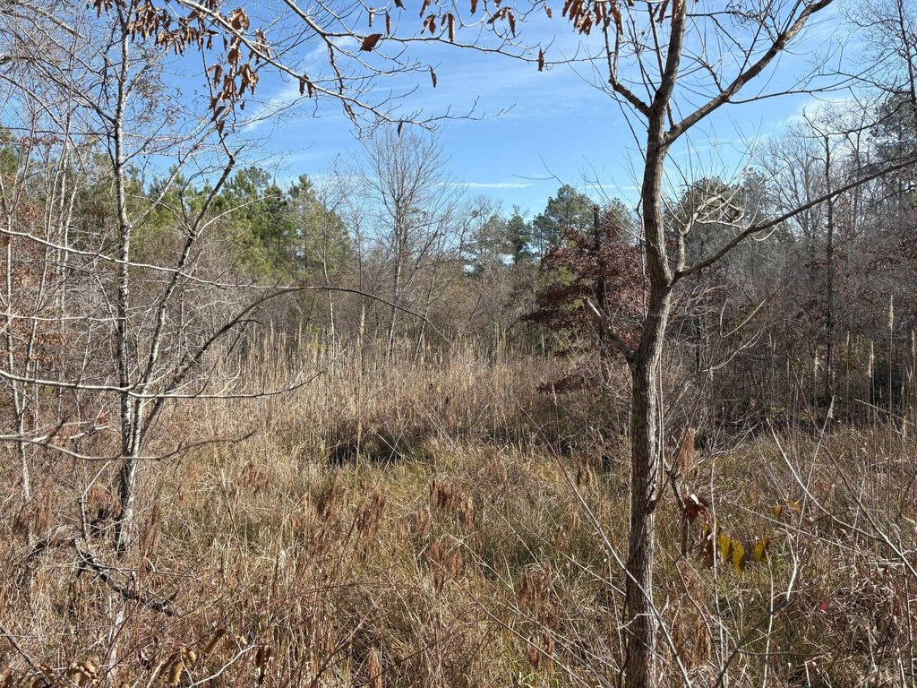 Picture 25