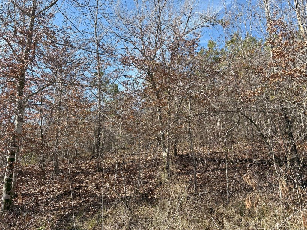Picture 24