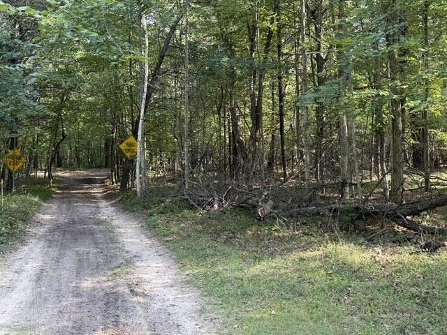Picture 6