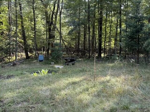 Wooded Hunting Land