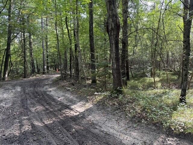 Picture 5