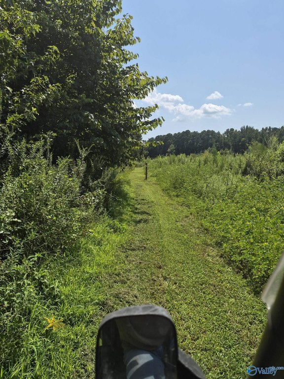 Picture 9
