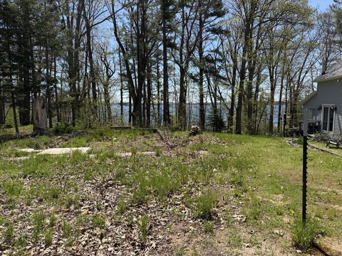 LAND - Topinabee, MI