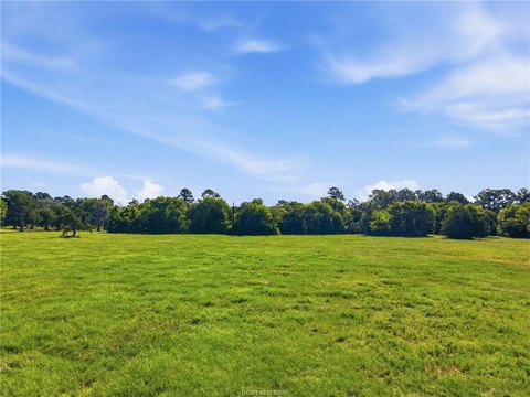 Agricultural Tract with Road Frontage