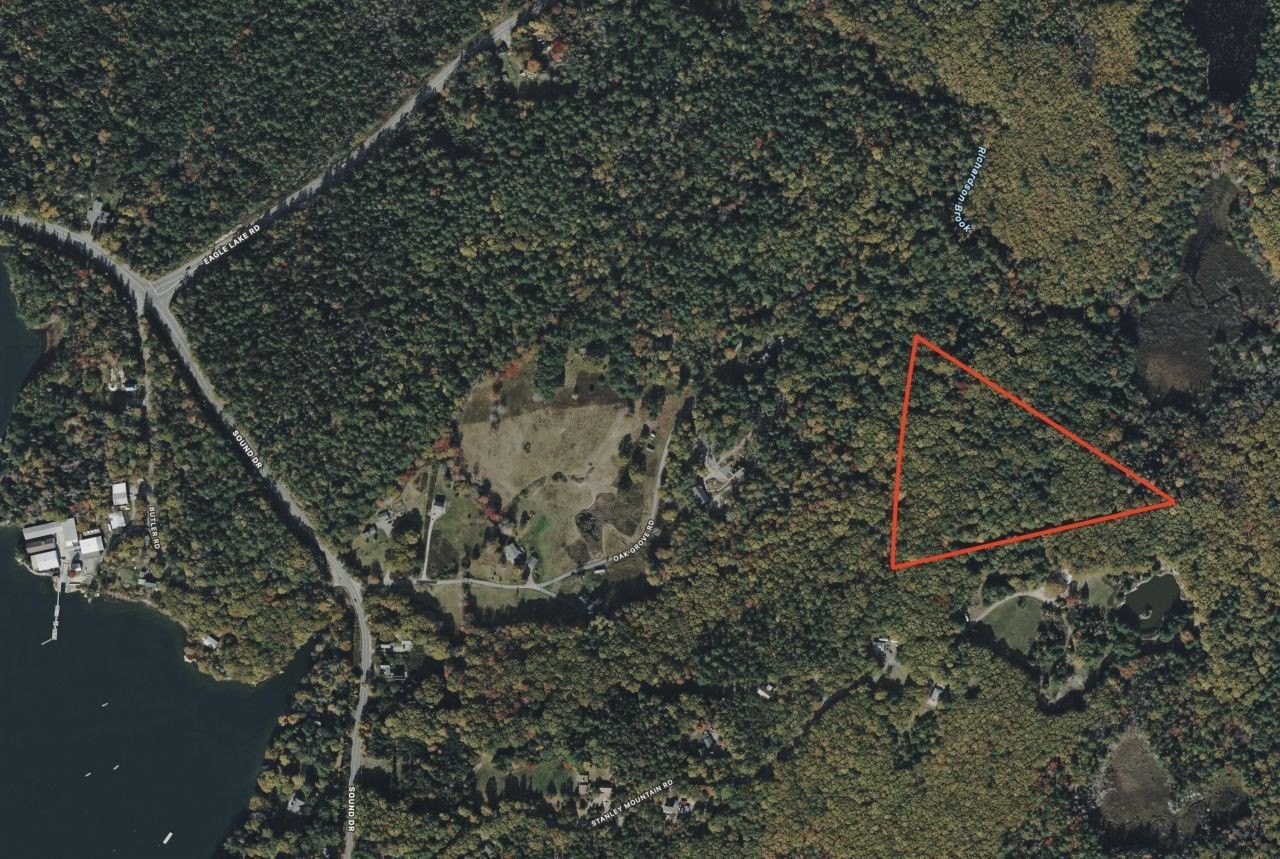Mount Desert Land with Oak Trees
