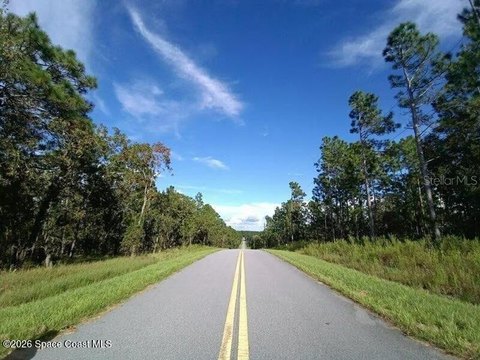 LAND - Dunnellon, FL