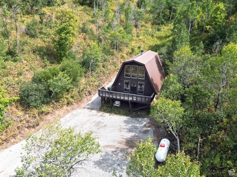 Secluded Cabin on 51 Acres