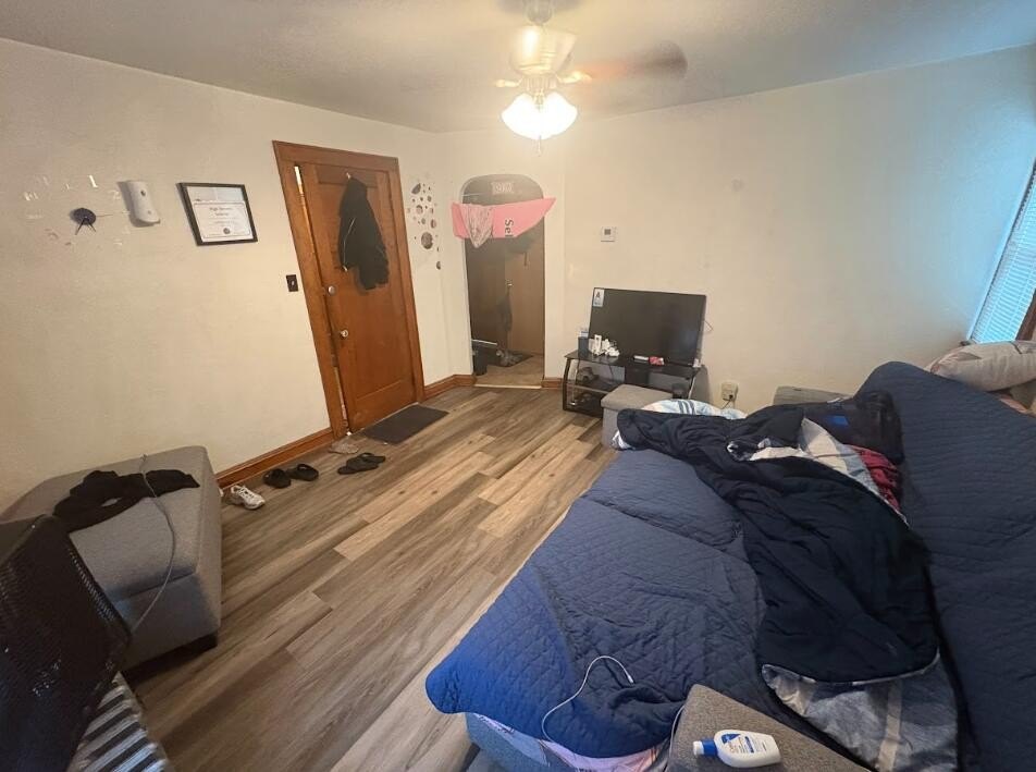 Picture 20