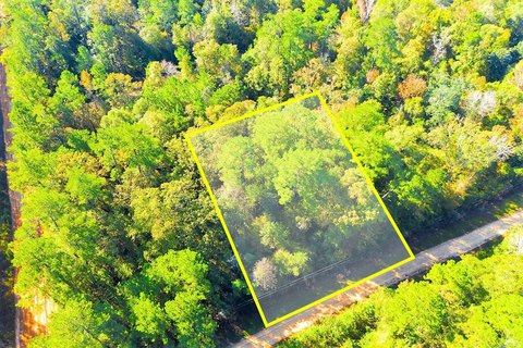Wooded Homesite in Recreational Community