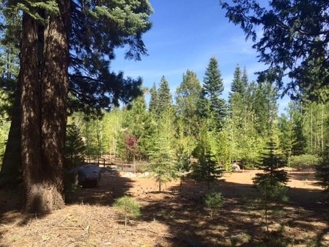 Land, Lake Almanor, CA