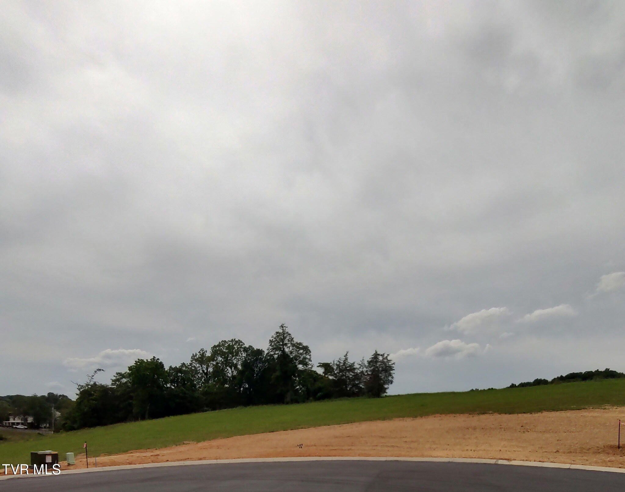 Residential Land in Jonesborough, TN