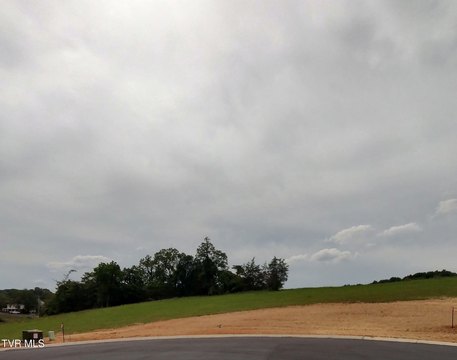 Residential Land in Jonesborough, TN