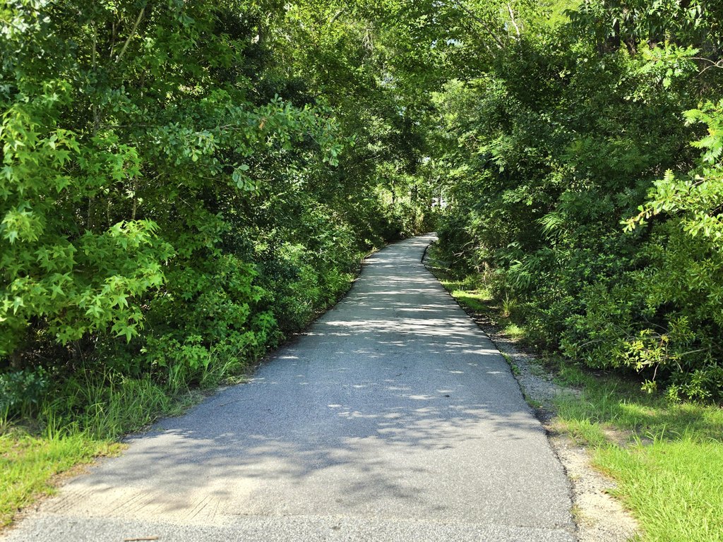 Picture 6