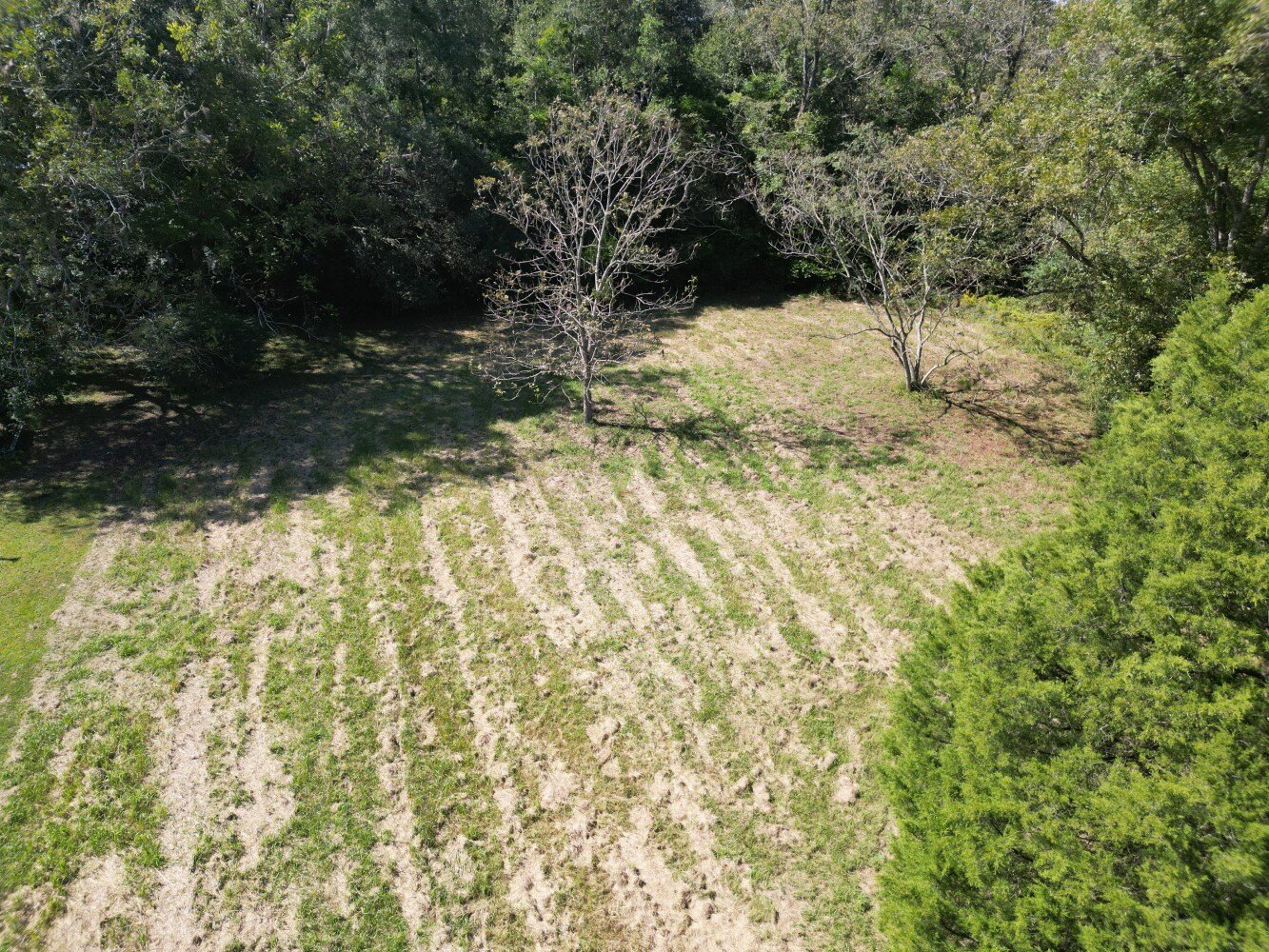 Cleared Vacant Lot in Alabama