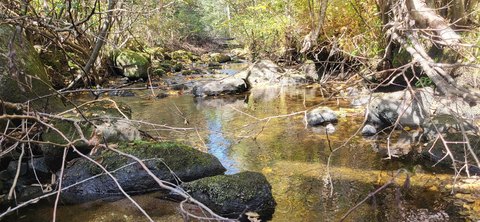 Land with Woodland and Brook