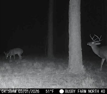 Bogue Chitto Riverfront Land