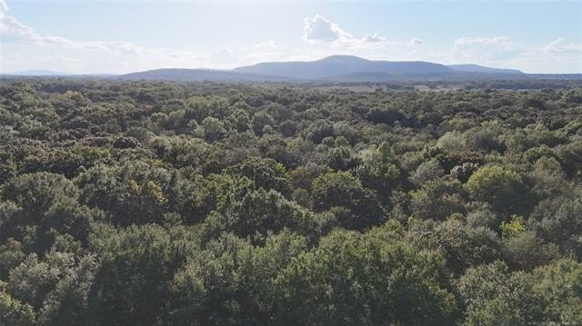 80 Acres Hunting Land in Oklahoma
