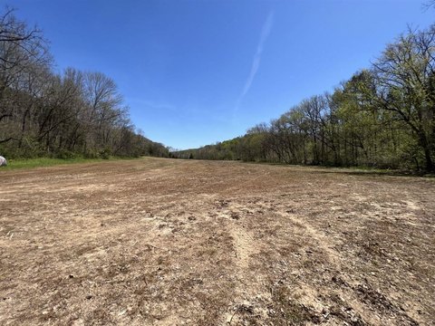 Hunting and Farmland with Road Frontage